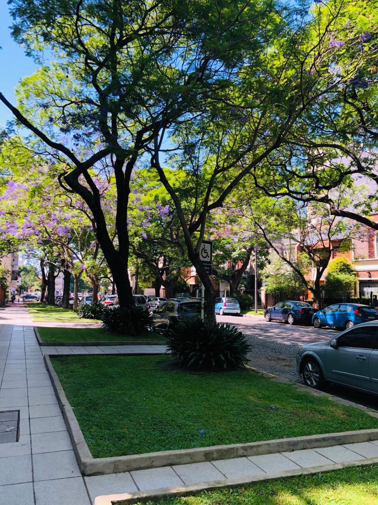 Hermoso Departamento En Belgrano R 3 Personas Buenos Aires